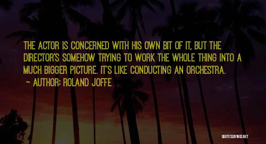 Bigger Picture Quotes By Roland Joffe