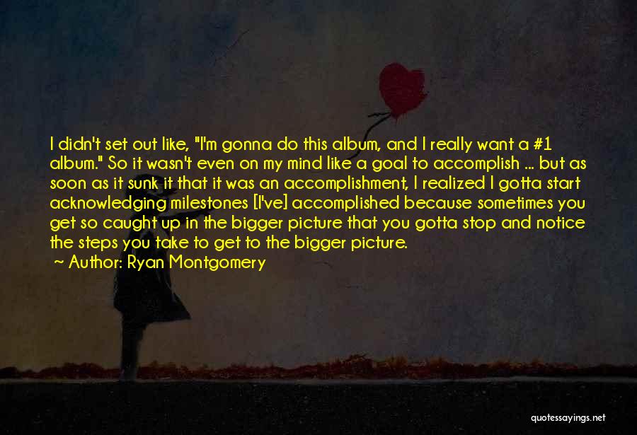 Bigger Picture Quotes By Ryan Montgomery