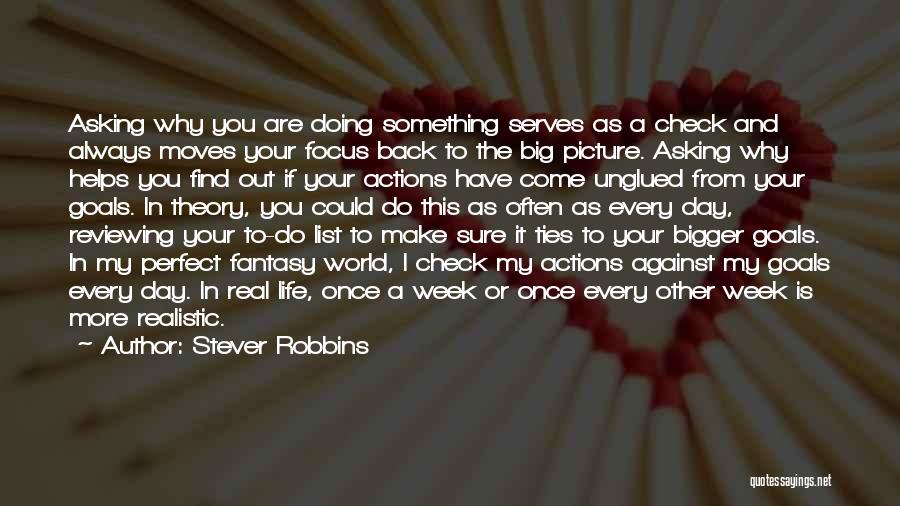 Bigger Picture Quotes By Stever Robbins