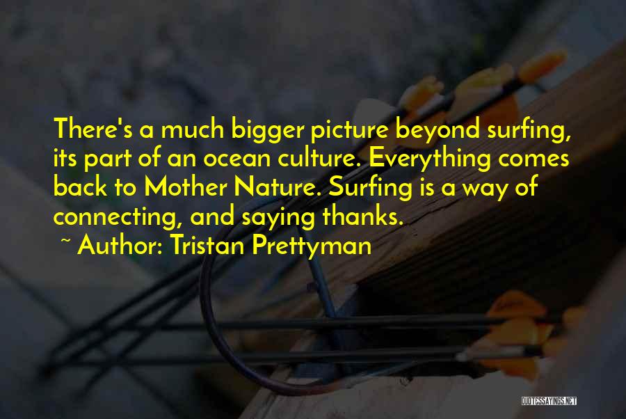 Bigger Picture Quotes By Tristan Prettyman