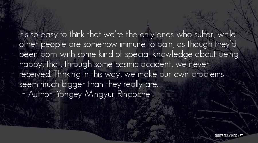 Bigger Problems Quotes By Yongey Mingyur Rinpoche