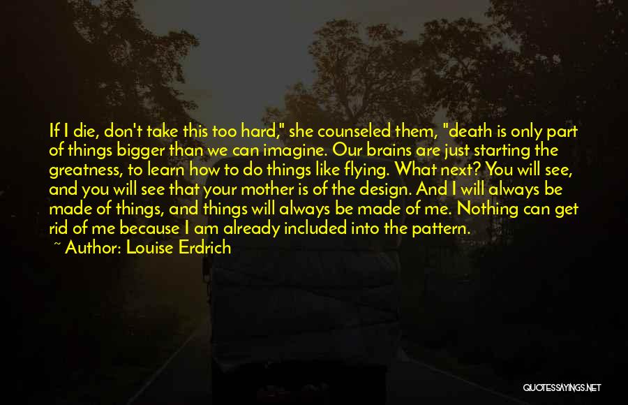 Bigger Things In Life Quotes By Louise Erdrich