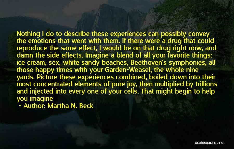 Bigger Things In Life Quotes By Martha N. Beck