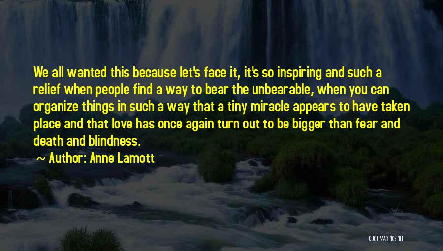 Bigger Things Quotes By Anne Lamott