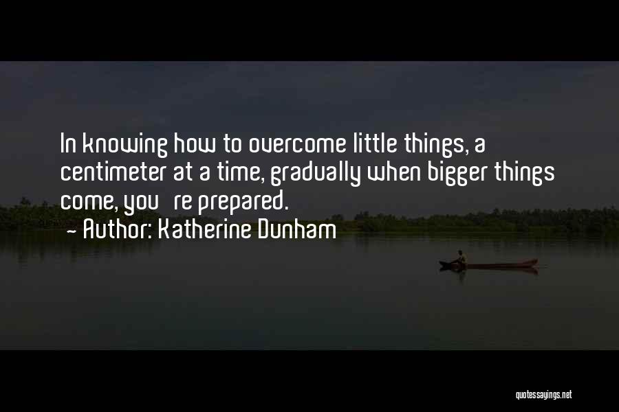 Bigger Things Quotes By Katherine Dunham