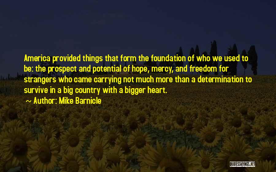 Bigger Things Quotes By Mike Barnicle