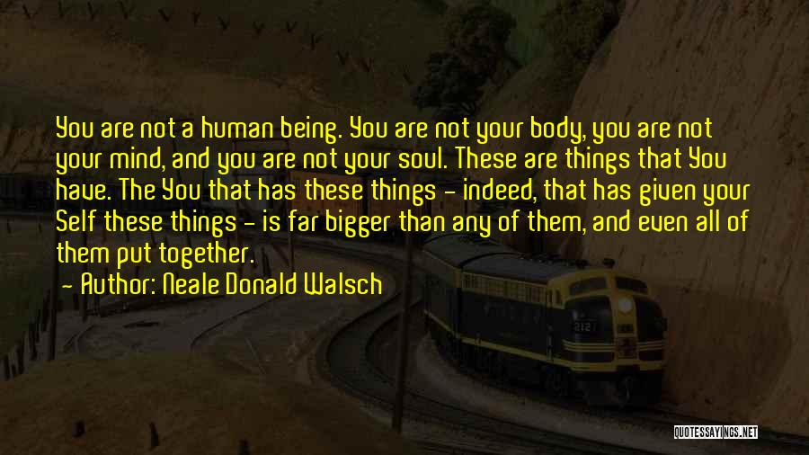 Bigger Things Quotes By Neale Donald Walsch