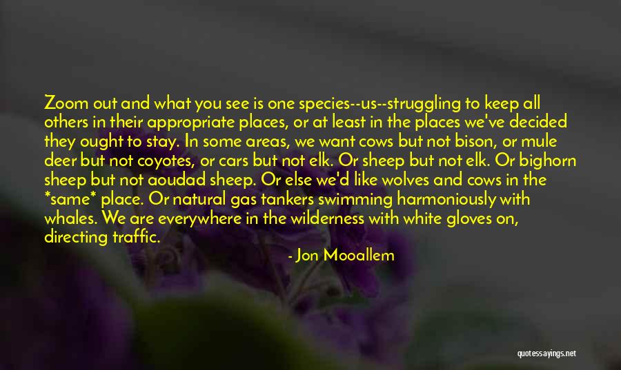 Bighorn Sheep Quotes By Jon Mooallem Bighorn Sheep Quotes By Jon Mooallem