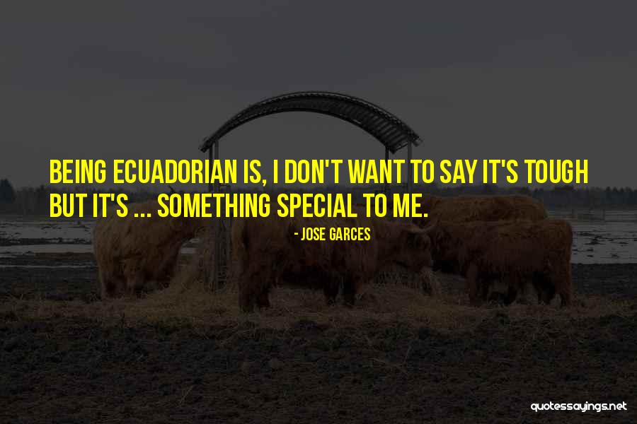 Bignami In Italy Quotes By Jose Garces Bignami In Italy Quotes By Jose Garces