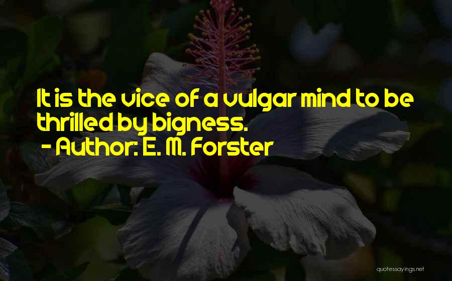 Bigness Quotes By E. M. Forster