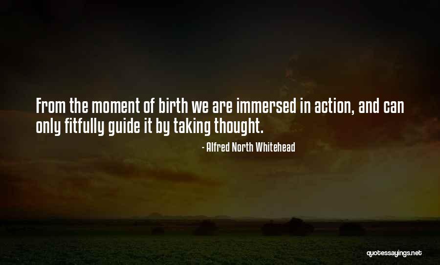 Bignonia Tangerine Beauty Quotes By Alfred North Whitehead Bignonia Tangerine Beauty Quotes By Alfred North Whitehead