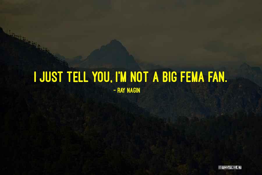 Bigs Quotes By Ray Nagin Bigs Quotes By Ray Nagin