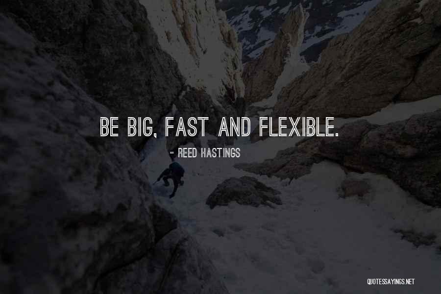 Bigs Quotes By Reed Hastings