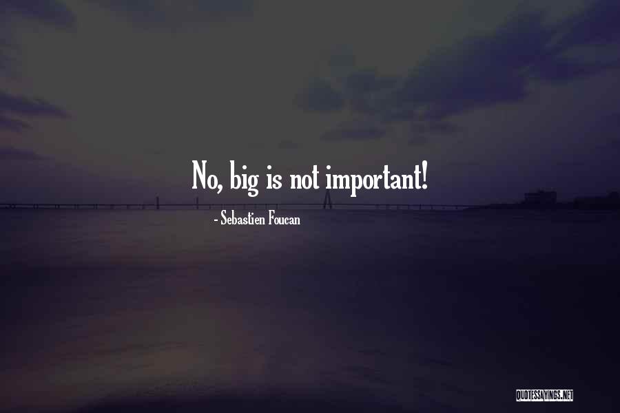Bigs Quotes By Sebastien Foucan