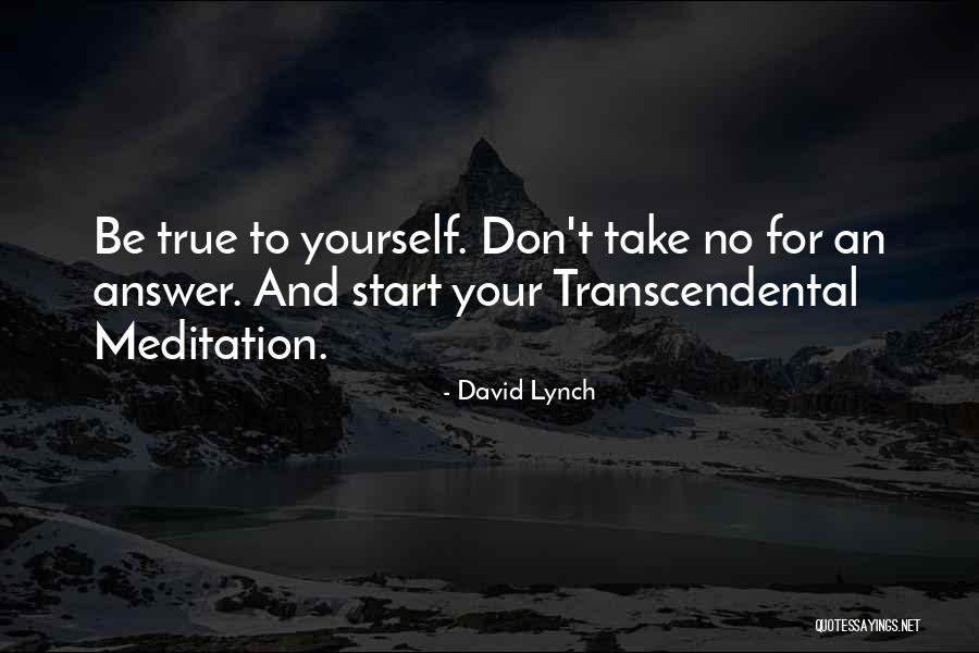 Bijeli Tigar Quotes By David Lynch Bijeli Tigar Quotes By David Lynch