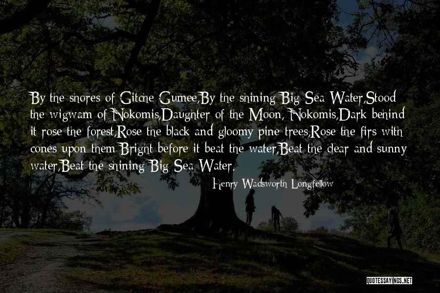 Bijelic Aleksandar Vozac Dindica Quotes By Henry Wadsworth Longfellow Bijelic Aleksandar Vozac Dindica Quotes By Henry Wadsworth Longfellow