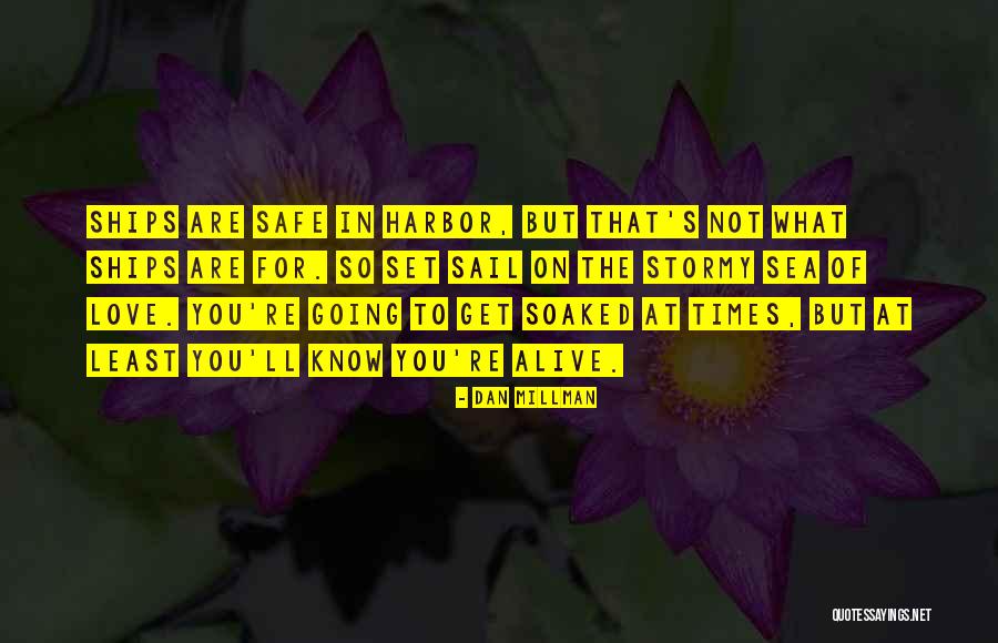 Bijesh Vijayan Quotes By Dan Millman Bijesh Vijayan Quotes By Dan Millman