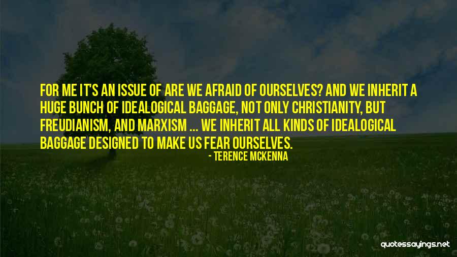 Bijstandsniveau Quotes By Terence McKenna Bijstandsniveau Quotes By Terence McKenna