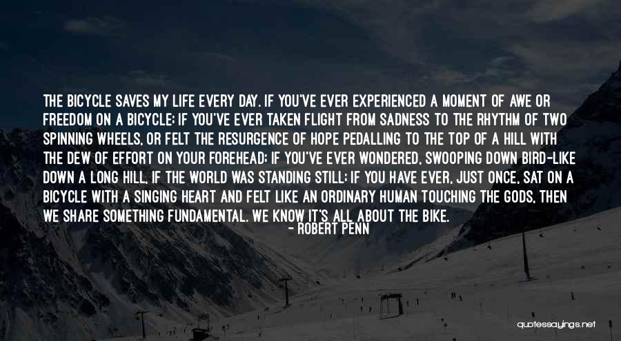 Bike Life Quotes By Robert Penn