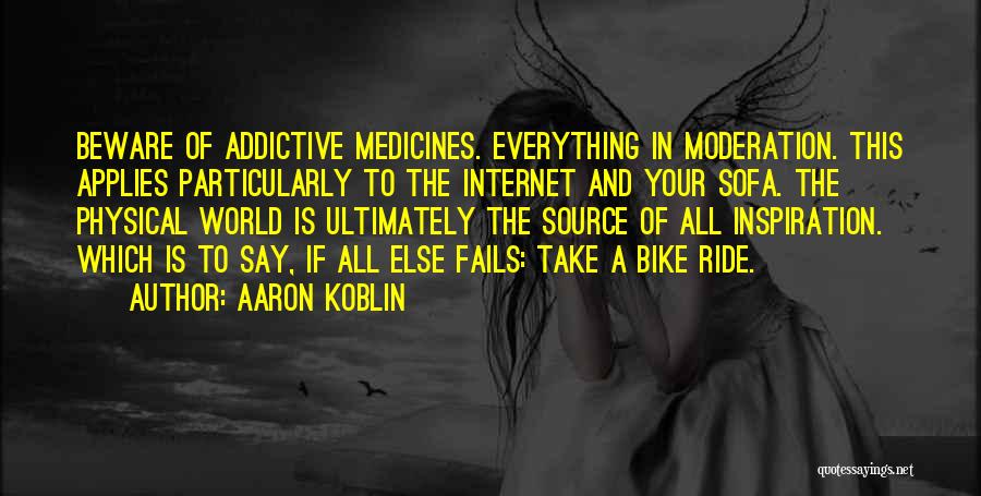 Bike Ride Quotes By Aaron Koblin