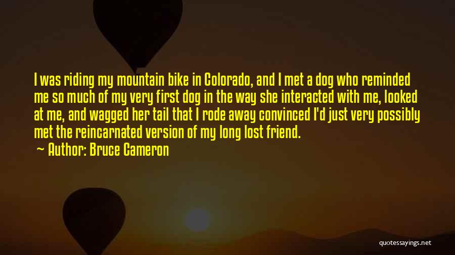 Bike Riding Quotes By Bruce Cameron