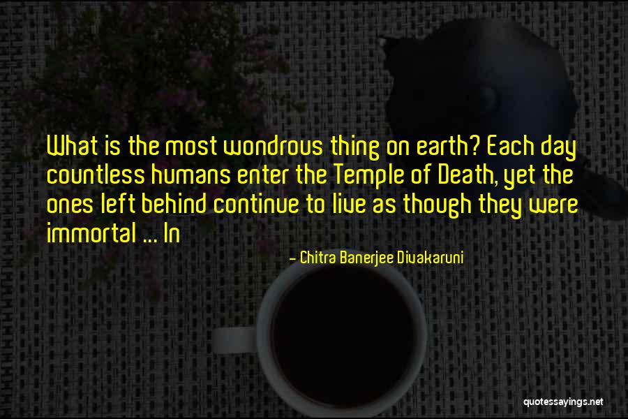 Bike Trips Quotes By Chitra Banerjee Divakaruni Bike Trips Quotes By Chitra Banerjee Divakaruni