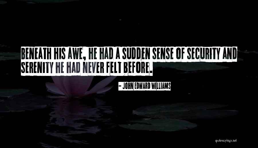 Bilance Pesapersone Quotes By John Edward Williams Bilance Pesapersone Quotes By John Edward Williams