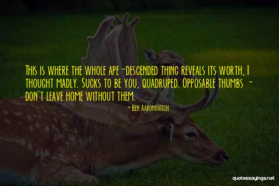 Bilancetta Quotes By Ben Aaronovitch Bilancetta Quotes By Ben Aaronovitch