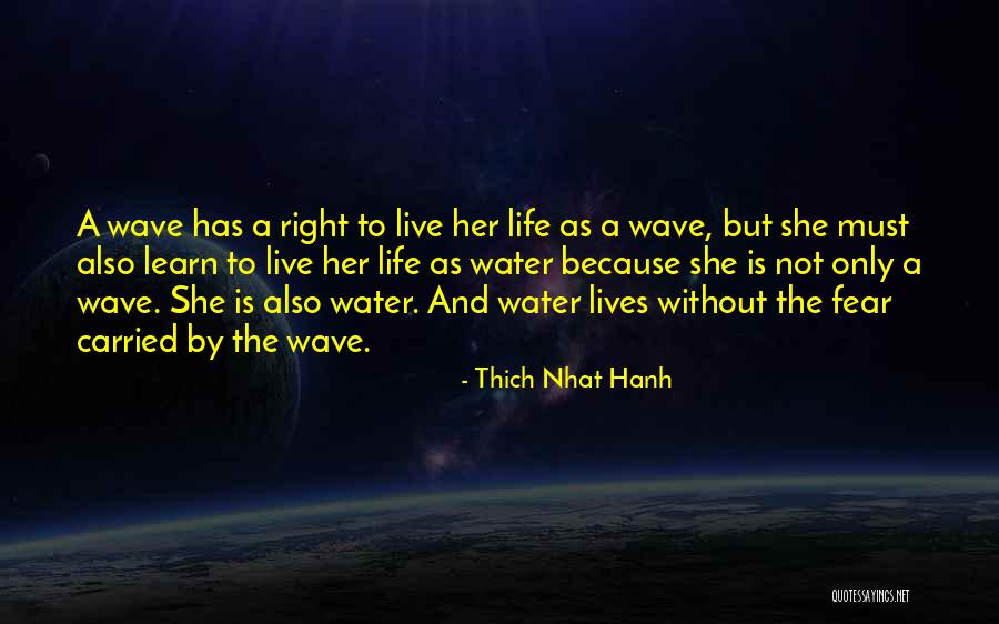 Bilderberg Society Quotes By Thich Nhat Hanh Bilderberg Society Quotes By Thich Nhat Hanh