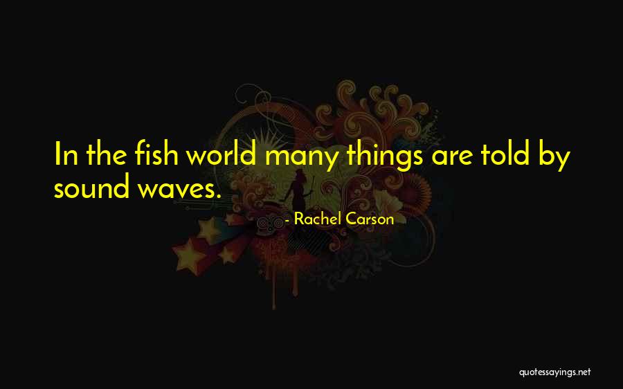 Bildern Gel Quotes By Rachel Carson Bildern Gel Quotes By Rachel Carson