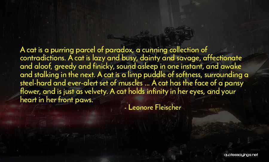 Bildigim Kadariyla Ingilizce Quotes By Leonore Fleischer Bildigim Kadariyla Ingilizce Quotes By Leonore Fleischer
