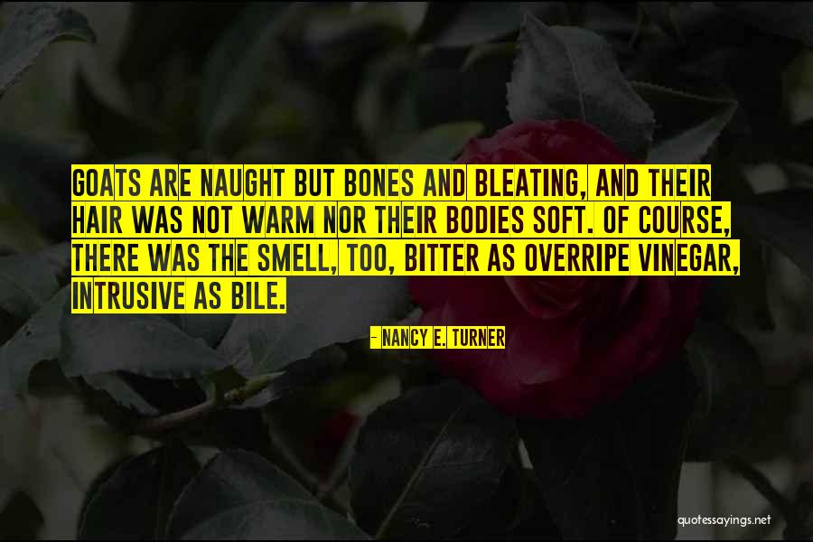 Bile Quotes By Nancy E. Turner Bile Quotes By Nancy E. Turner