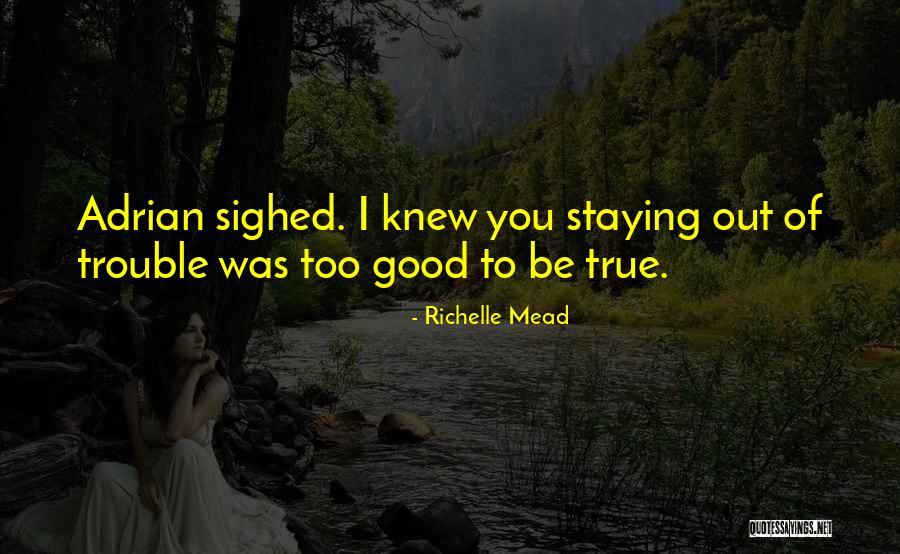 Bilel Sghir Quotes By Richelle Mead Bilel Sghir Quotes By Richelle Mead