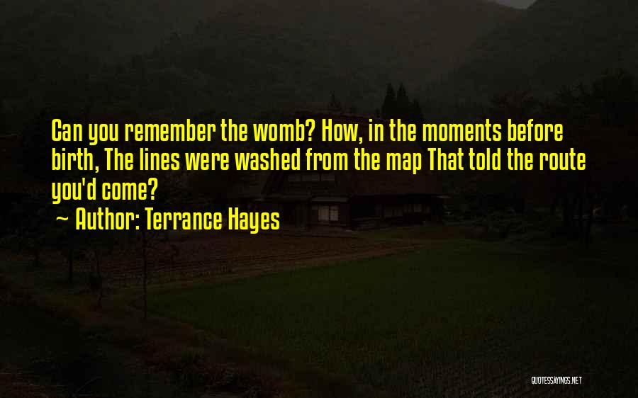 Bilgewater Swain Quotes By Terrance Hayes