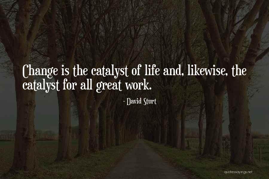 Bilimevi Quotes By David Sturt