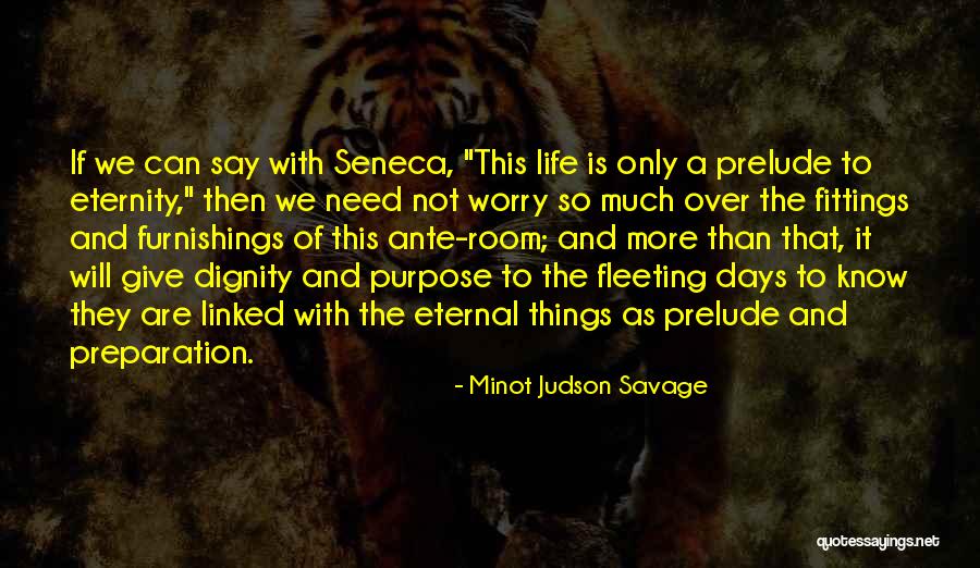 Biliner Quotes By Minot Judson Savage Biliner Quotes By Minot Judson Savage