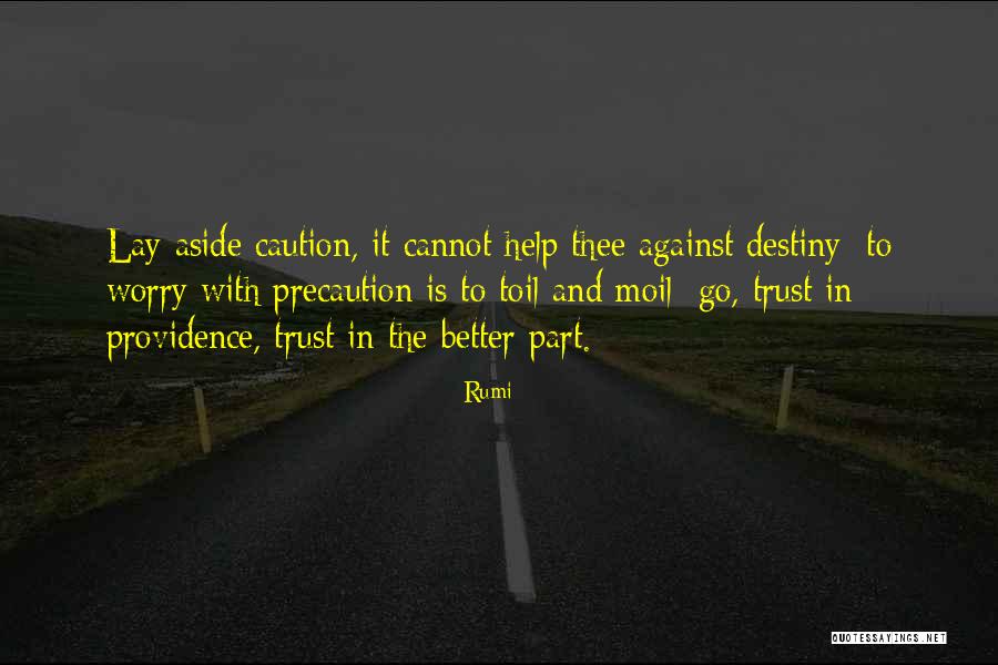 Bilingually Proficient Quotes By Rumi Bilingually Proficient Quotes By Rumi