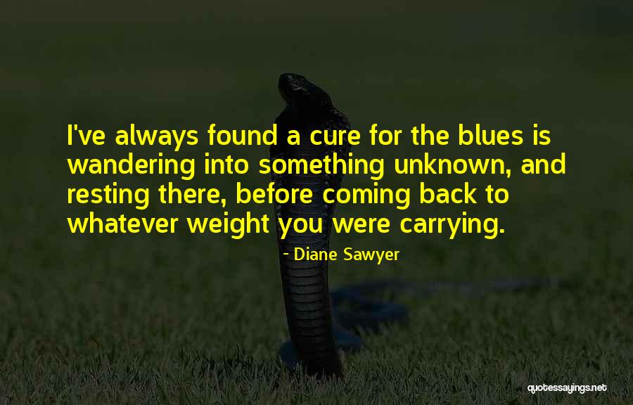 Bilionis Quotes By Diane Sawyer Bilionis Quotes By Diane Sawyer