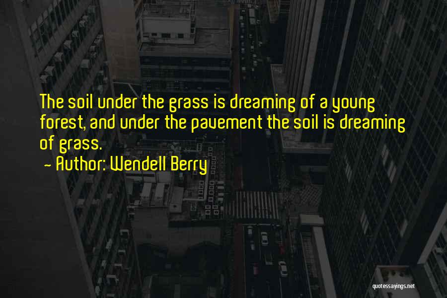 Biliyorsun Akor Quotes By Wendell Berry