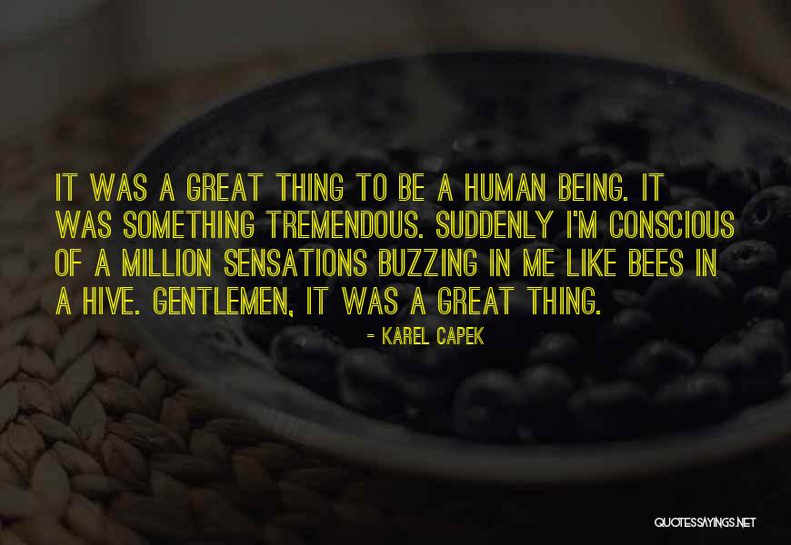 Bilked Synonym Quotes By Karel Capek Bilked Synonym Quotes By Karel Capek