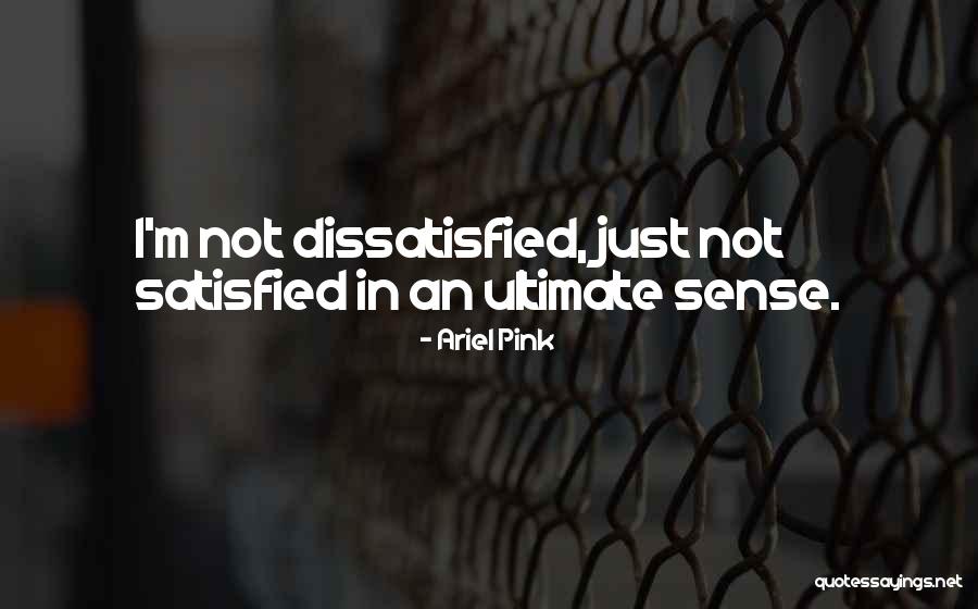 Bilkent Quotes By Ariel Pink Bilkent Quotes By Ariel Pink