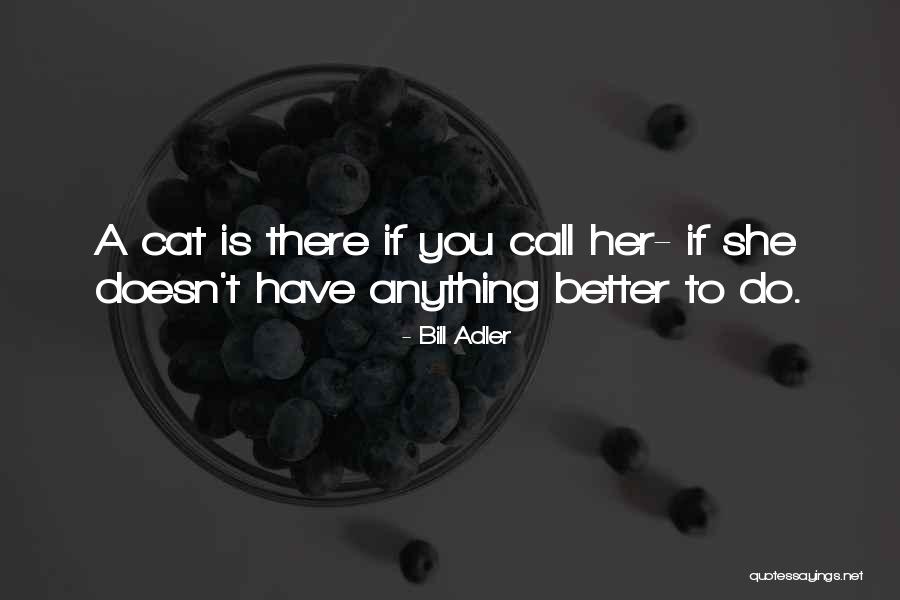 Bill Adler Quotes 794651 Bill Adler Quotes 794651
