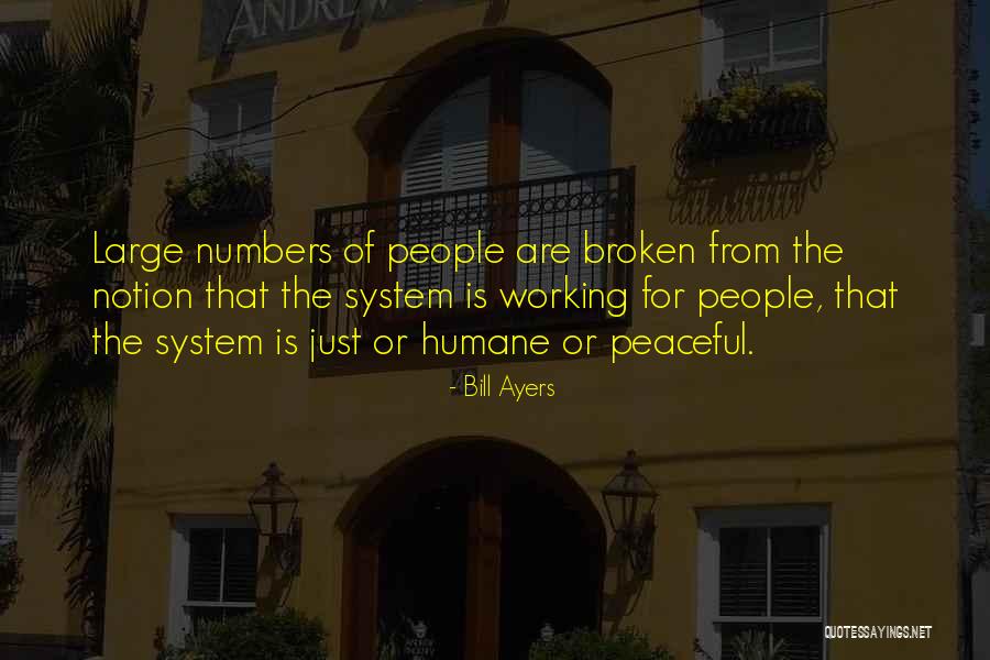 Bill Ayers Quotes 777849 Bill Ayers Quotes 777849