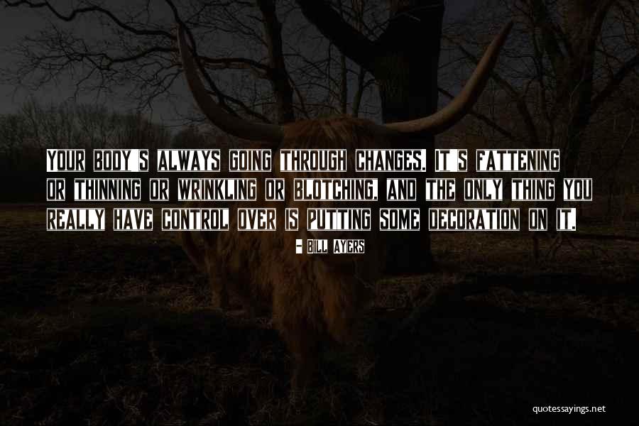 Bill Ayers Quotes 995024 Bill Ayers Quotes 995024