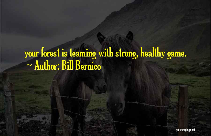 Bill Bernico Quotes 1730728