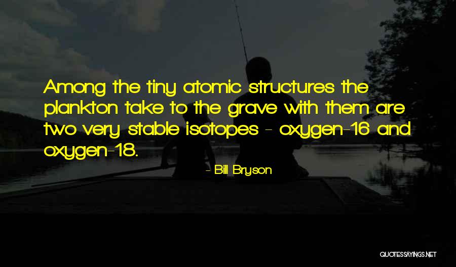 Bill Bryson Quotes 539743