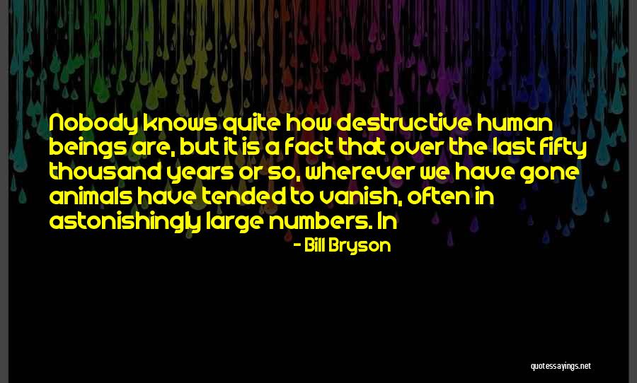 Bill Bryson Quotes 704217