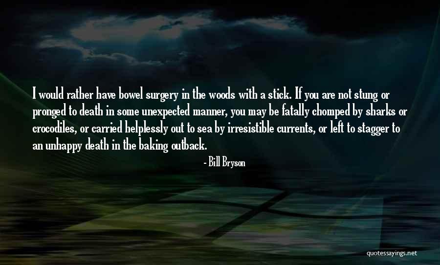 Bill Bryson Quotes 907098