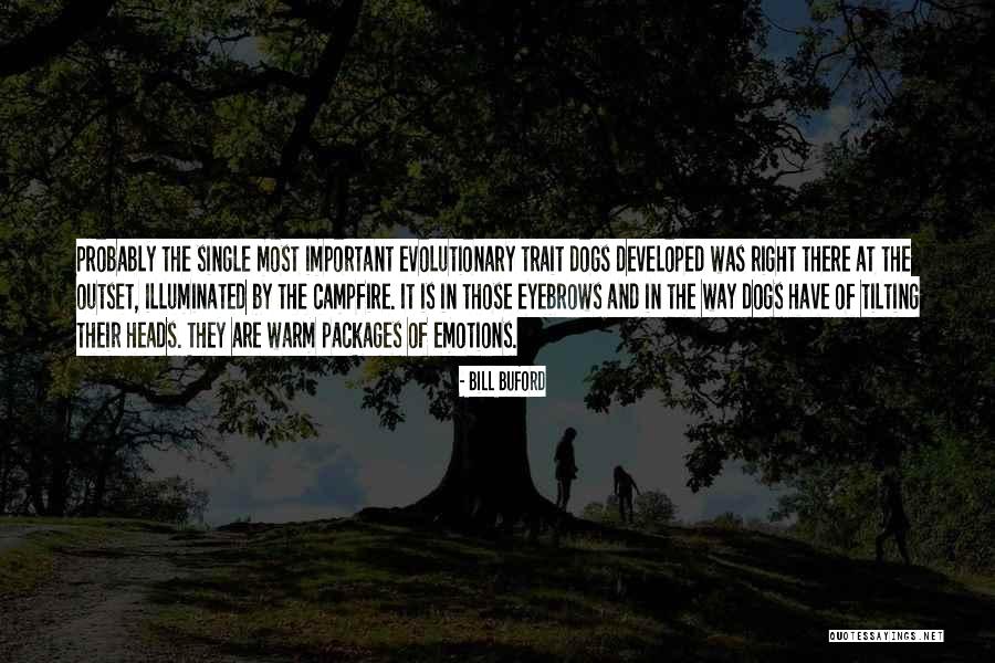Bill Buford Quotes 1969464 Bill Buford Quotes 1969464