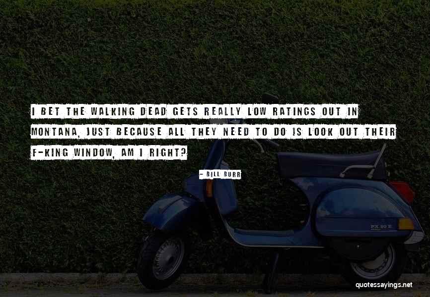 Bill Burr Quotes 1891852 Bill Burr Quotes 1891852